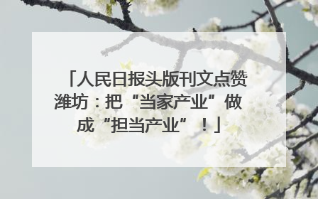 人民日报头版刊文点赞潍坊：把“当家产业”做成“担当产业”！